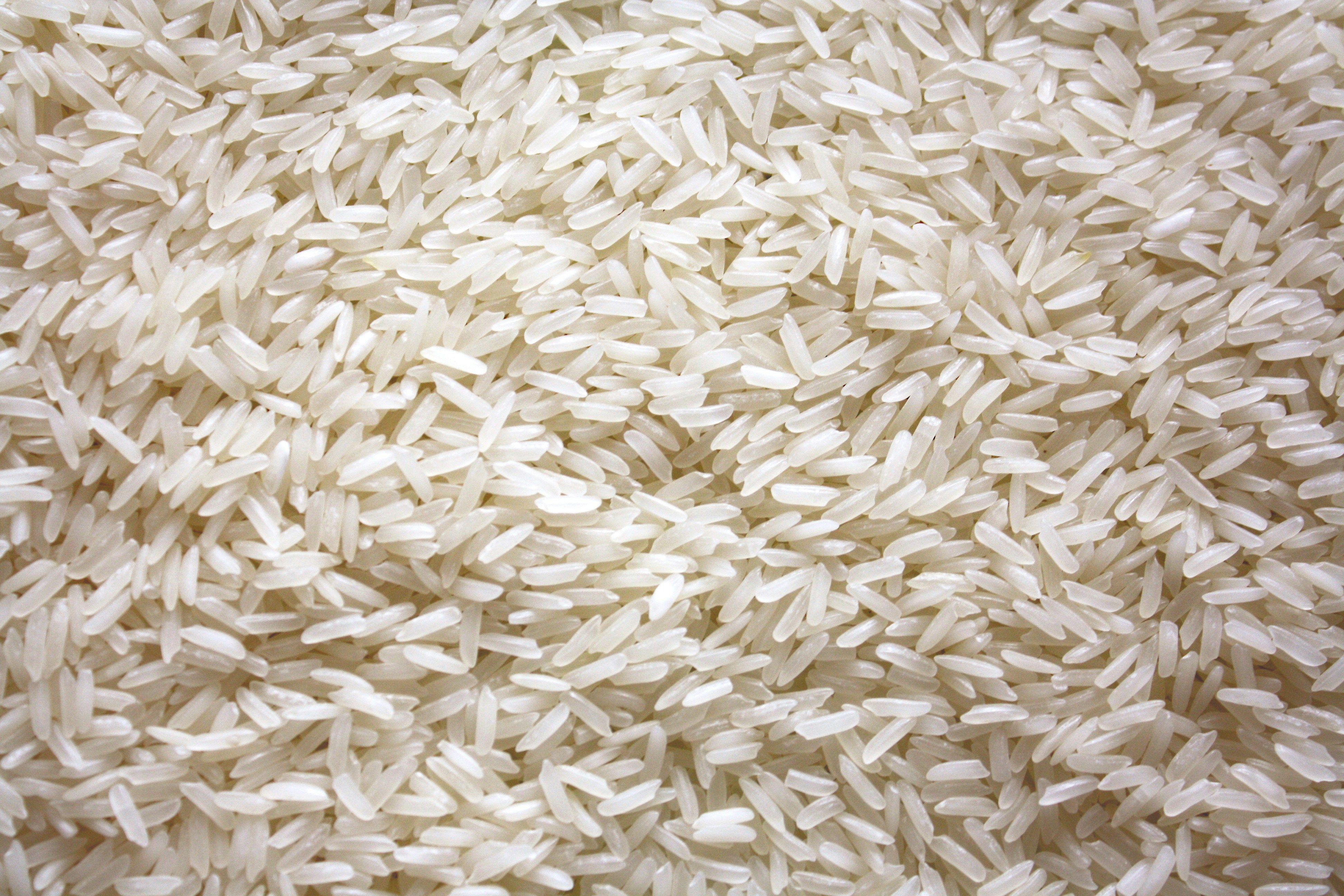 Premium Rice